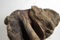 Kunst aus holz unikate