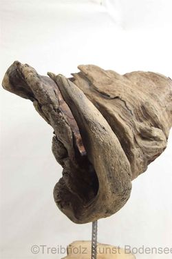 allgÃ¤uer kunst