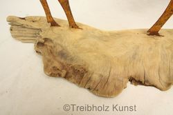 Treibholz