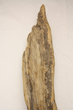 Holz Wandbeleuchtung